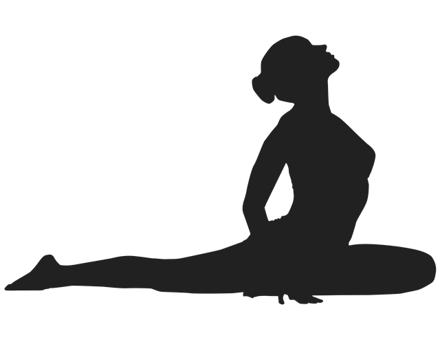 Yoga Taube
